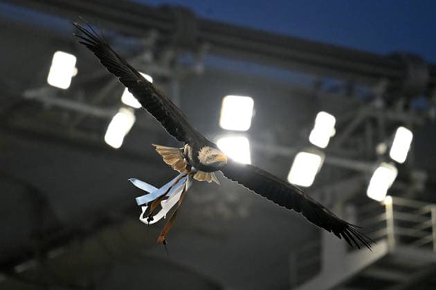 Mascotte of Lazio eagle Flaminia during the serie A Enilive match between SS Lazio v Atalanta BC at olimpico stadium in Rome, February 14th, 2026 Mattia Vian  Copyright: xMattiaxVian IPAxSportx xipa-agency.netx xx IPA_71524456 IPA_Agency_IPA71524456