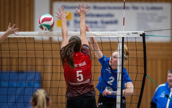 Volleyball, Women, 3rd League West, BW Dingden - VV Humann Essen