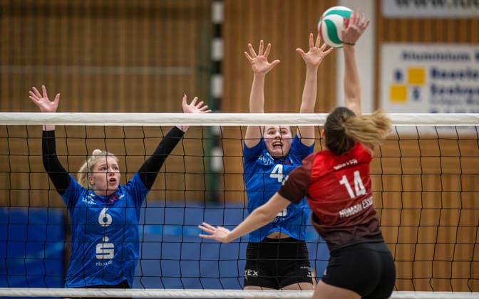 Volleyball, Season 2025 2026, Third League West, 14 02 2026, Matchday 16, Women, BW Dingden blue vs VV Humann Essen red v l Louisa Baumeister BW Dingden , Leni Vehns BW Dingden , Lisa Mueller VV Humann Essen , Hamminkeln Sporthalle am Mumbeckerbach Nordrhein Westfalen Germany 260214_vb-d_bw-dingden_humann-essen_49439