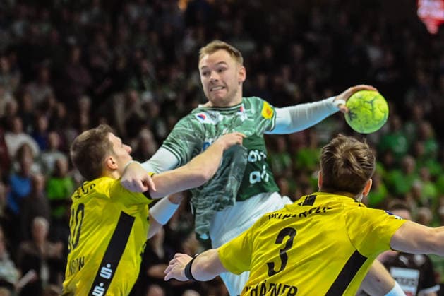 Handball, HBL, Füchse Berlin - TBV 1898 Stuttgart