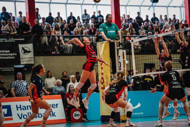 Volleyball, Women, VBL, ETV Hamburger Volksbank Volleys - Schwarz-Weiß Erfurt