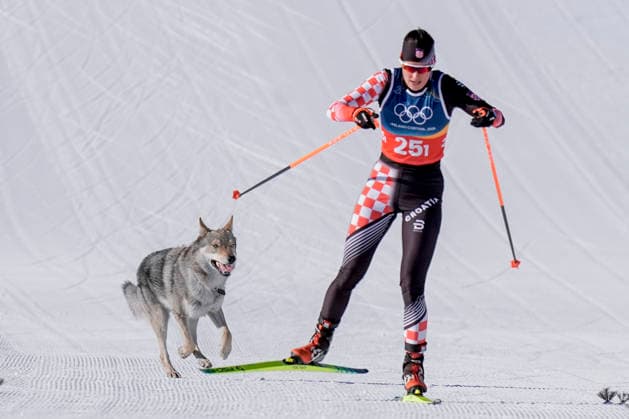Milano Cortina 2026, cross-country skiing, women, dog on the track, sprint freestyle team
