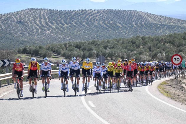 20-02-2026 Vuelta Andalucia; Tappa 03 Jaen - Lopera; 2026, Movistar; Romeo Abad, Ivan; Aular Sanabria, Orluis; 