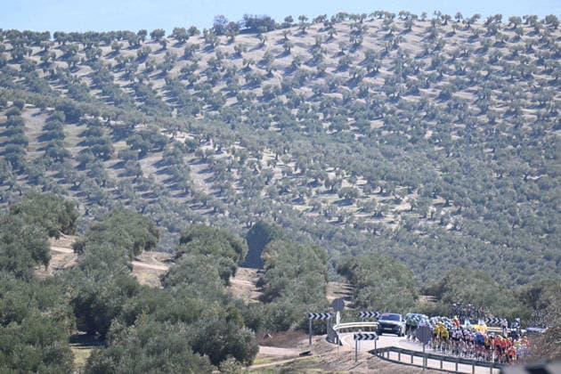 20-02-2026 Vuelta Andalucia; Tappa 03 Jaen - Lopera; 