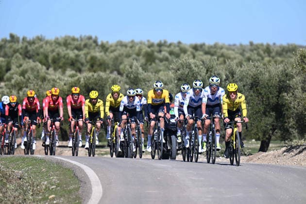 20-02-2026 Vuelta Andalucia; Tappa 03 Jaen - Lopera; 2026, Movistar; Romeo Abad, Ivan; Aular Sanabria, Orluis; 