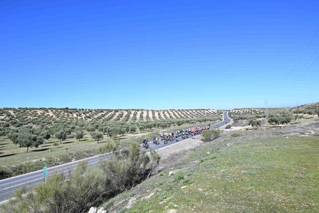 20-02-2026 Vuelta Andalucia; Tappa 03 Jaen - Lopera; 