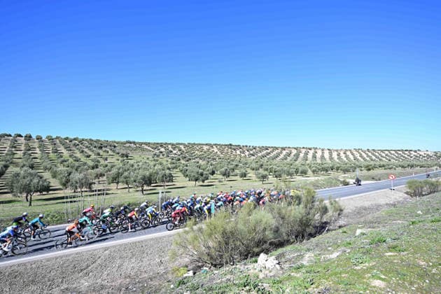 20-02-2026 Vuelta Andalucia; Tappa 03 Jaen - Lopera; 