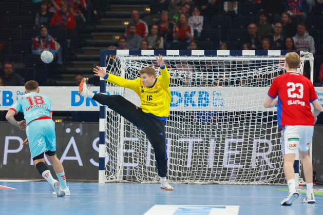 Handball, HBL, Handball Sport Verein Hamburg - MT Melsungen