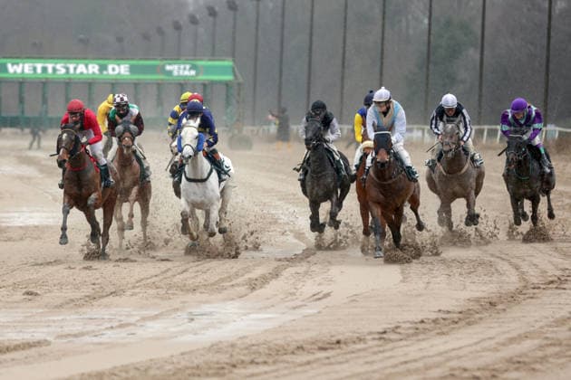 22.02.2026, Dortmund, Nordrhein-Westfalen, GER - Pferde und Jockeys im Rennen. Galopprennbahn Dortmund-Wambel. (Pferde, Jockeys, Sand, Sandbahn, Sandbahnrennen, Dirt, Dirttrack, Galopp, Galopprennsport, Pferderennsport, Pferderennen, Galopprennen, Doppelseite) 260222SG919DORTMUND.JPG *** 22 02 2026, Dortmund, Nordrhein Westfalen, GER Horses and jockeys in the race Dortmund Wambel racecourse Horses, jockeys, sand, sand track, sand track racing, dirt, dirt track, gallop, gallop racing, horse racing, horse racing, horse racing, double page 260222SG919DORTMUND JPG