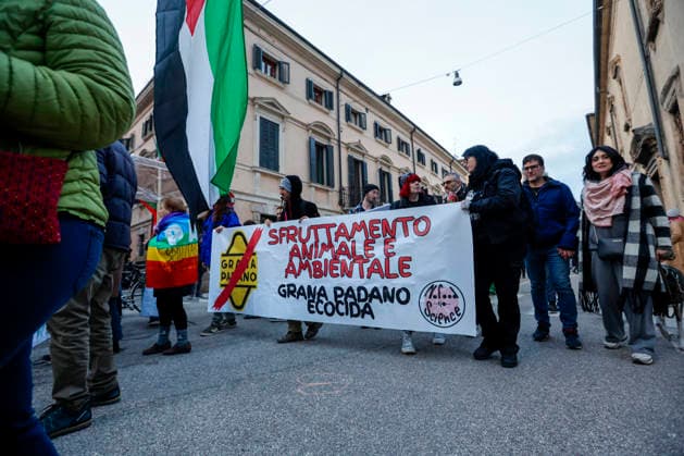 Protestors demonstrate before the Closing Ceremony of the Milano Cortina 2026 Olympic Games, Olympische Spiele, Olympia, OS outside the Verona Arena in Verona, Italy on Sunday, February 22, 2026. Norway won the most medals with a total of 41, with the United States following at 33.  ITA20260222801 AARONxJOSEFCZYK