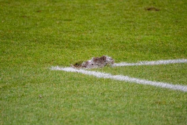 Germany Soccer Google Pixel Women Bundesliga 2025 2026 Eintracht Frankfurt vs SC Freiburg 19 Matchday Am Brentanobad Stadion Frankfurt Rasen Copyright: xOrhanxHabashx