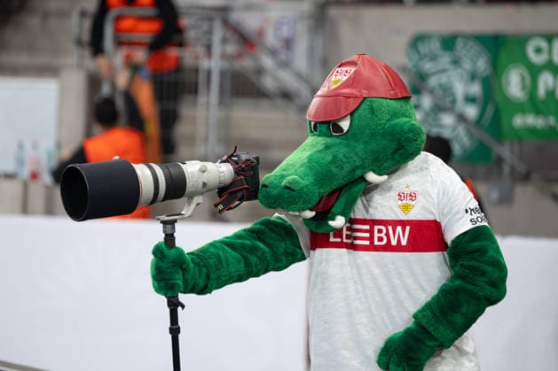 Fritzle VfB Stuttgart, Mascot as sports photographer GER, VfB Stuttgart vs Celtic FC Glasgow, Football, UEFA Europa League, Men, Play Offs second leg, Season 2025 2026, 26 02 2026, GER, VfB Stuttgart vs Celtic FC Glasgow, Football, UEFA Europa League, Men, Play Offs second leg, Season 2025 2026, 26 02 2026 Stuttgart Copyright: xEibner-Pressefoto WolfgangxFrankx EP_WFK