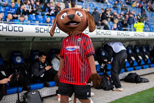 28 02 2026 Soccer, 2025 2026, 2 Bundesliga, 24 Matchday, DSC Arminia Bielefeld Hannover 96 Eddi Mascot Hannover DFL REGULATIONS PROHIBIT ANY USE OF PHOTOGRAPHS AS IMAGE SEQUENCES AND OR QUASI VIDEO