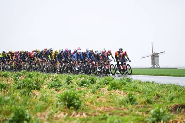 The peloton pictured in action during the 81st edition of the men s one-day cycling race Omloop Het Nieuwsblad (UCI World Tour), the opening race of the Flemish one-day classics season, 207,6 km from Gent to Ninove, Saturday 28 February 2026. ELIASxROM  x165916201x