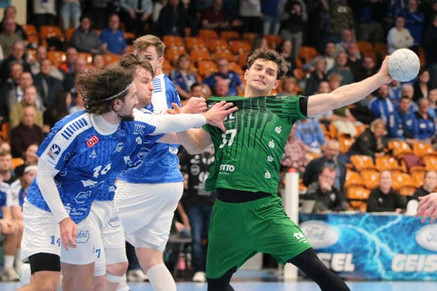 Handball, 2nd HBL, Dessau-Roßlauer HV 2006 - Die Eulen Ludwigshafen