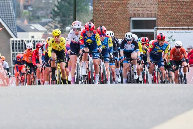 Fenix - Ekoï Omloop van het Hageland AARSCHOT TIELT - WINGE, Belgium 01 03 2026 Illustration picture of the peloton Pictured during the Fenix - Ekoï Omloop van het Hageland on 01 March 2026 ( Picture by Gianni Barbieux Photo News ). Gent Belgium  Copyright: xGiannixBarbieuxx