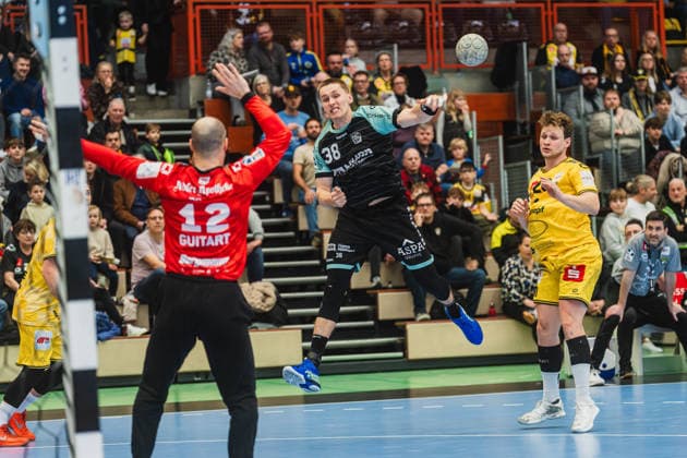 Handball, HBL, HSG Krefeld Niederrhein - HC Oppenweiler Backnang