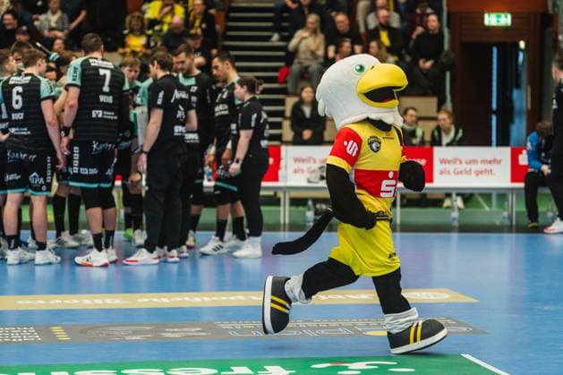 HSG Krefeld Niederrhein Mascot HSG Krefeld Niederrhein vs HC Oppenweiler Backnang, Handball, 2 HBL, 22 Matchday, Season 2025 26, 01 03 2026, HSG Krefeld Niederrhein vs HC Oppenweiler Backnang, Handball, 2 HBL, 22 Matchday, Season 2025 26, 01 03 2026 Krefeld Copyright: xEibner-Pressefoto LukasxBaldygax EP_LBA
