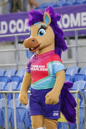 Official mascot is seen at half time during the Womens Asian Cup match between Korea Republic and Islamic Republic of Iran at the Gold Coast Stadium in Robina, Australia Copyright: xMatthewxStarlingx xSPPx Sportspressphoto_SPR100278