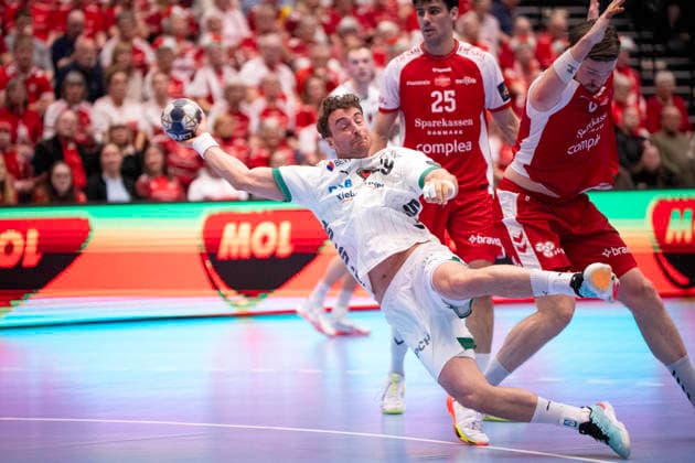 Handball, CL, Aalborg Handbold - Füchse Berlin