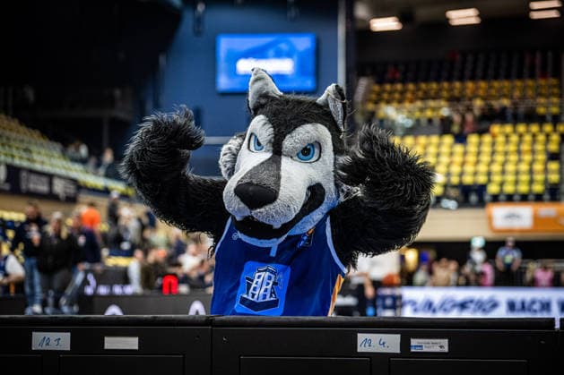 Rostock, Germany 06 March 2026 1 BBL 2025 2026 Rostock Seawolves vs VET CONCEPT Gladiators Trier In the picture Wolfi, the Seawolves mascot Copyright: xFotostandx xVoelkerx