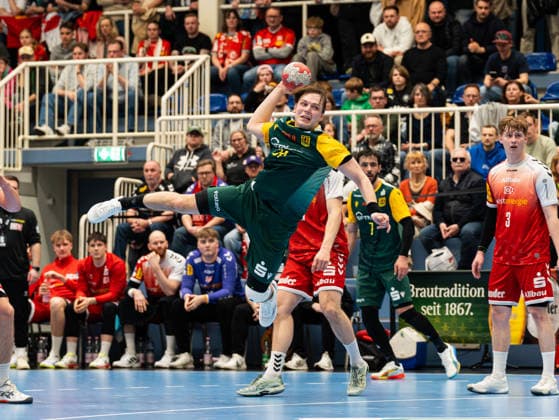 Handball, 2nd HBL, TUSEM Essen - VfL Eintracht Hagen
