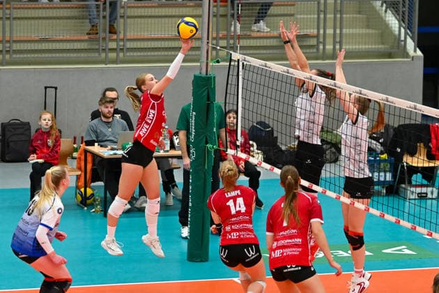 Christine Tabeling TV Cloppenburg, 12 hebt den Ball TV Cloppenburg vs TUSA City Girls Duesseldorf, 2 Bundesliga Nord Frauen, 20 Spieltag, Saison 2025 2026, 07 03 2026, TV Cloppenburg vs TUSA City Girls Duesseldorf, 2 Bundesliga Nord Frauen, 20 Spieltag, Saison 2025 2026, 07 03 2026 Cloppenburg Copyright: xEibner-Pressefoto RobertxGertzenx EP_RGN