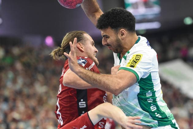Handball, HBL, SG Flensburg-Handewitt - SC DHfK Leipzig