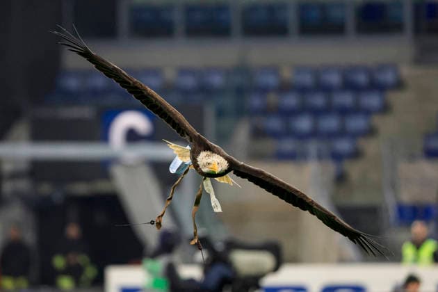 9th March 2026, Stadio Olimpico, Rome, Italy; Italian Serie A Football; Lazio versus Sassuolo; Lazio s mascot the eagle Flaminia flies  EmanuelexPennacchio
