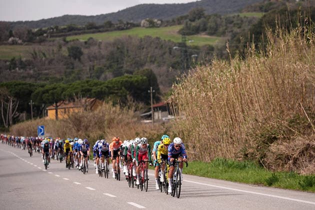 The pack rides cycles during the 206-kilometer Stage 2 of the Tirreno-Adriatico cycling race from Camaiore to San Gimignano - Italy - Tuesday, March 10, 2026. - cycling .  Copyright: xMarcoxAlpozzi LaPressex