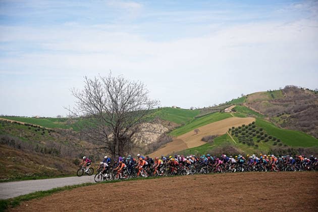 The pack rides during the 213-kilometer Stage 4 of the Tirreno-Adriatico cycling race from Tagliacozzo to Martinsicuro - Italy,- Thursday, March 12, 2026. - cycling .  Copyright: xMarcoxAlpozzi LaPressex