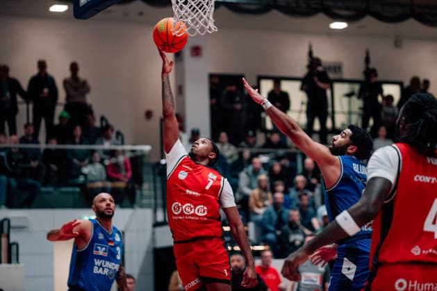 Basketball, BBL2, ProA, SBB Baskets Wolmirstedt - Merlins Crailsheim