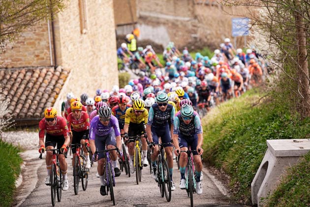 The pack rides cycles during the 188-kilometer Stage 6 of the Tirreno-Adriatico cycling race from San Severino Marche to Camerino - Italy - Saturday, March 14, 2026. - cycling.  Copyright: xMarcoxAlpozzi LaPressex