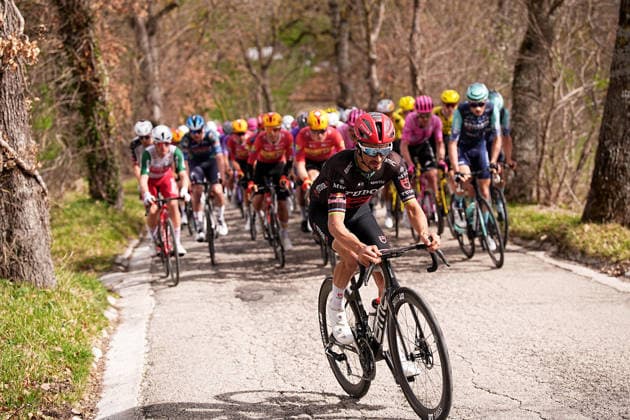 The pack rides cycles during the 188-kilometer Stage 6 of the Tirreno-Adriatico cycling race from San Severino Marche to Camerino - Italy - Saturday, March 14, 2026. - cycling.  Copyright: xMarcoxAlpozzi LaPressex