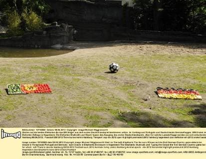 Football, EURO 2012, elephants as EM oracle at Hagenbeck Zoo