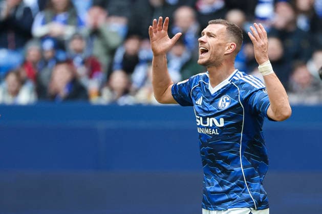 2 Bundesliga FC Schalke 04 Hannover 96 on 15 03 2026 in the Veltins Arena on Schalke Edin Dzeko Schalke 10 dissatisfied, disappointed, disappointed, dejected MH