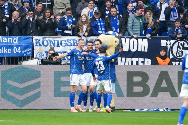 Soccer 2 Bundesliga, Matchday 26, FC Schalke 04 Hannover 96 on 15 03 2026 in Gelsenkirchen VELTINS Arena , Germany, Season 2025 2026 DFB DFL REGULATIONS PROHIBIT ANY USE OF PHOTOGRAPHS as IMAGE SEQUENCES and or QUASI VIDEO Collective cheering after the goal by Dzeko, Edin 10,S04 to 1 0 Gelsenkirchen VELTINS Arena Germany Copyright: xChristophxKinzingerx