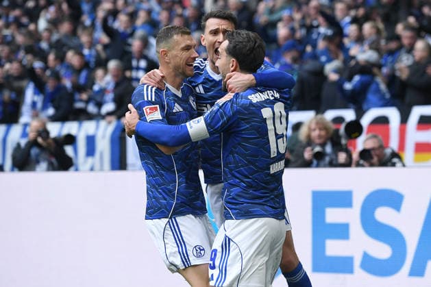 Soccer 2 Bundesliga 26 Matchday FC Schalke 04 Hannover 96 on 15 03 2026 at the Veltins Arena in Gelsenkirchen Goal celebration to 1 0 by Edin Dzeko Schalke DFL regulations prohibit any use of photographs as image sequences and or quasi video xRx
