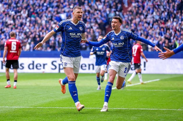 15 03 2026, Football, FC Schalke 04 Hannover 96, Matchday 26, 2 Fußball Bundesliga, Veltins Arena Gelsenkirchen, Season 2025 2026 Goal celebration after the goal to 1 0 by scorer Edin Dzeko Schalke04 10 together with Dejan Ljubicic Schalke04 21 DFB regulations prohibit any use of photographs as image sequences and or quasi video Nordrhein Westfalen Germany