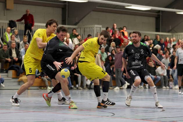 Handball, RL Süd, DJK Waldbüttelbrunn - TSV Lohr