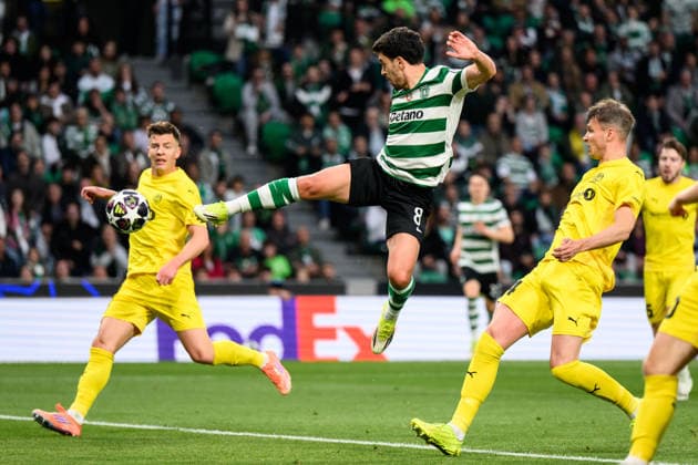 260317 Pedro Goncalves of Sporting during the UEFA Champions League football match between Sporting CP and Bodo Glimt on March 17, 2026 in Lisbon Photo Marius Simensen BILDBYRAN COP 238 MM0063 bbeng football fotball fotboll soccer uefa champions league mesterligaen bodo glimt sporting clube de portugal sporting lisboa sporting lisbon sporting cp  Copyright: MARIUSxSIMENSEN BB260317BB666