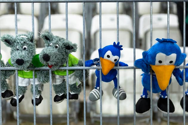 Google Pixel Womens Bundesliga FC Carl Zeiss Jena vs VfL Wolfsburg Jena 18 03 2026 Mascot VfL Wolfsburg Wölfi and FC Carl Zeiss Jena Carl Google Pixel Womens Bundesliga FC Carl Zeiss Jena vs VfL Wolfsburg ad hoc arena at Ernst Abbe Sportfeld 18 03 2026 DFB REGULATIONS PROHIBIT ANY USE OF PHOTOGRAPHS AS IMAGE SEQUENCES AND OR QUASI VIDEO Copyright: xBEAUTIFULxSPORTS Duehringx