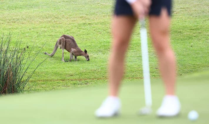 Golf, Women, Australian WPGA Championship in Gold Coast