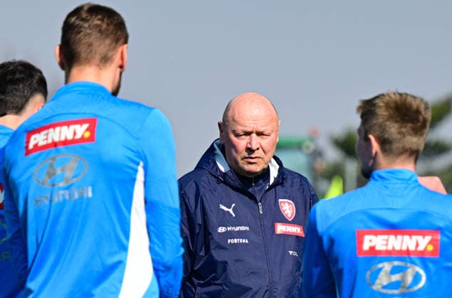 Football, World Cup qualifying playoffs, Czech Republic national team training