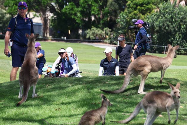 GOLF AUSTRALIAN WPGA, Australia s Hannah Green and Germany s Alexandra Försterling are surrounded by kangaroos during the 3rd round of the 2026 Australian WPGA Championship at Sanctuary Cove Golf and Country Club on the Gold Coast, Saturday March 21, 2026. ( NO ARCHIVING, EDITORIAL USE ONLY GOLD COAST QUEENSLAND AUSTRALIA  Copyright: xx 20260321132063081280