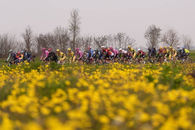 The race during the men s elite race of the Milano-Sanremo one day cycling race (298 km) from Pavia to Sanremo - North West Italy - March 20, 2026. - cycling .  Copyright: xFabioxFerrari LaPressex