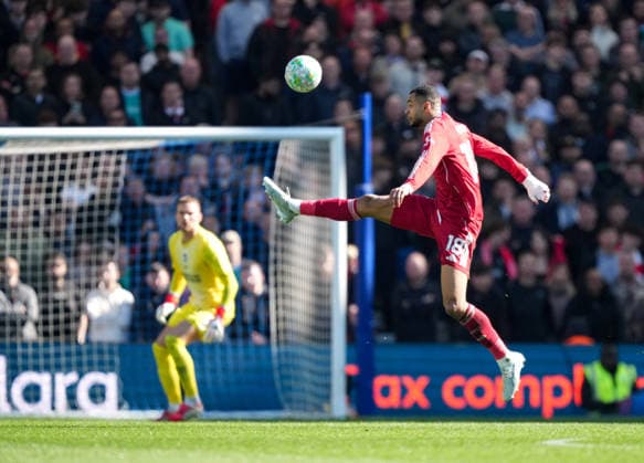 Brighton and Hove Albion v Liverpool, Premier League, Football, Amex Stadium, Brighton, UK - 21 Mar 2026 Cody Gakpo of Liverpool Brighton Amex Stadium Brighton UK, UK NEWSPAPERS OUT Copyright: xSeanxRyanx