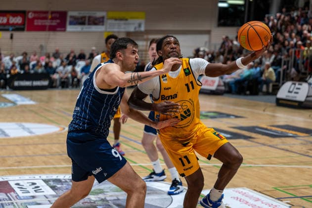 Basketball, 2. BL, ProA, Bozic Estriche Knights Kirchheim - VfL SparkassenStars Bochum