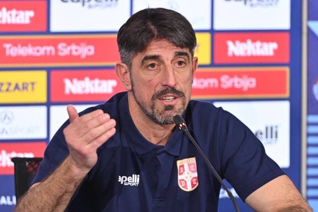 Football, Serbia national team, Press conference
