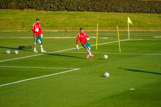 CALCIO - FIFA Mondiali - Italy training session Gianluigi Donnarumma and Elia Caprile during Italy training session, FIFA World Cup, WM, Weltmeisterschaft, Fussball match in Florence, Italy, March 23 2026 Florence Italy  Copyright: xIPAxSport ABACAx